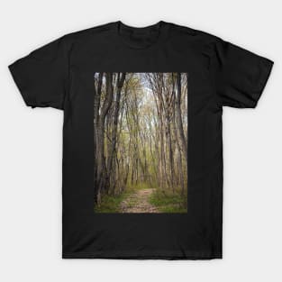 Hiking trail in the forest T-Shirt